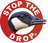 Stop the Drop