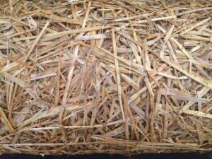 Straw Mat