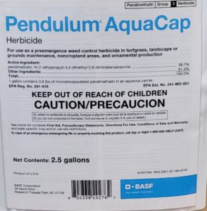 Pendulum Aquacap
